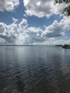 This bridge carry several interstates over water in New Bern.